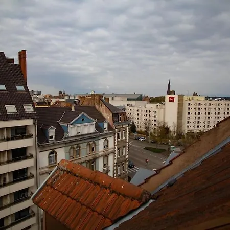 Le Molsheim - Grand Proche Musee Dart Moderne Appartement