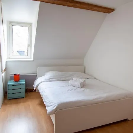 Le Molsheim - Duplex Proche Musee D'art Moderne Apartament